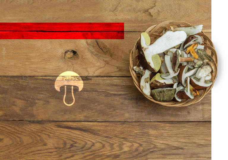 Грибоводчество