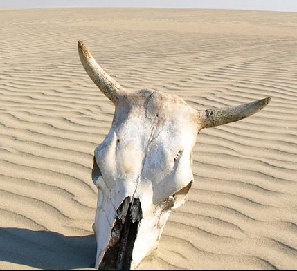 Системы вентиляции и кондиционирования воздуха